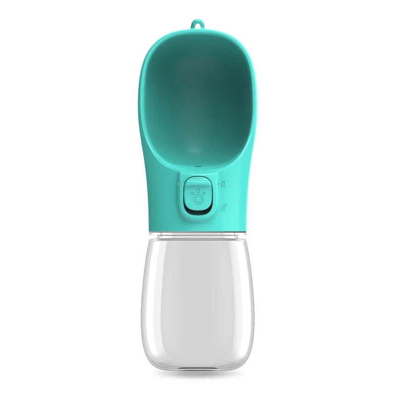 Water on the GO