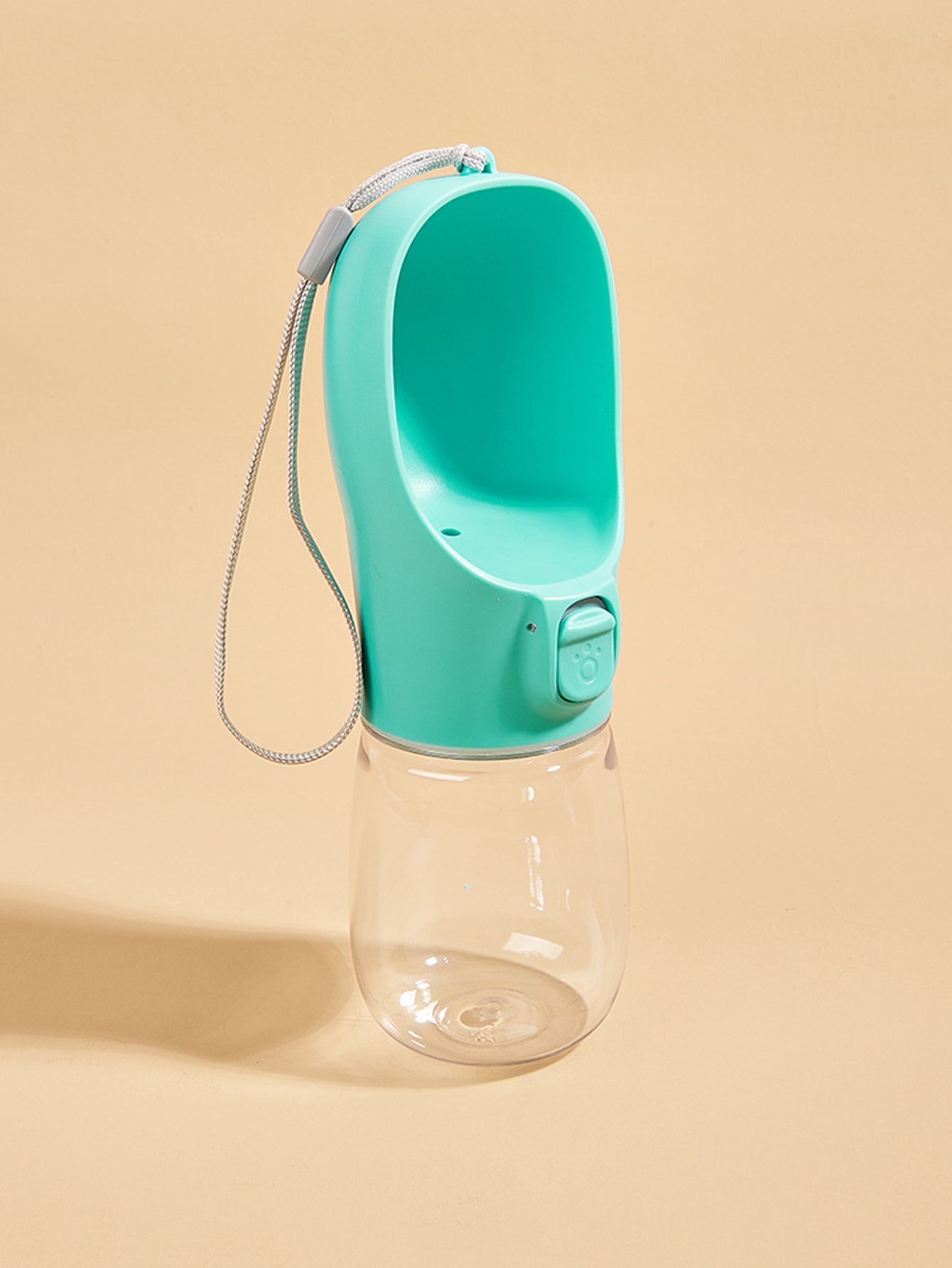Water on the GO