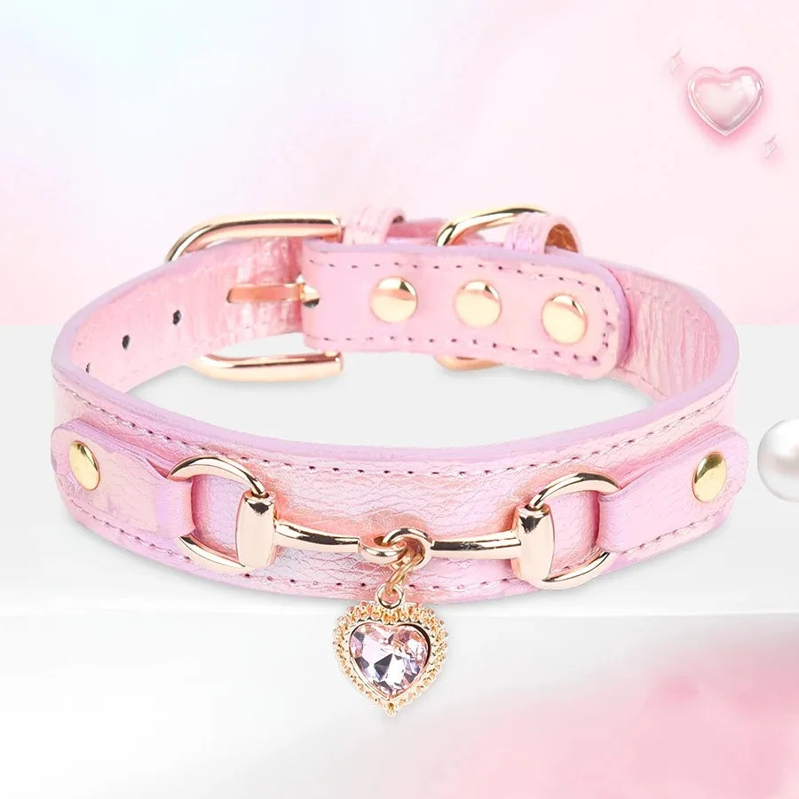 Pet Collar