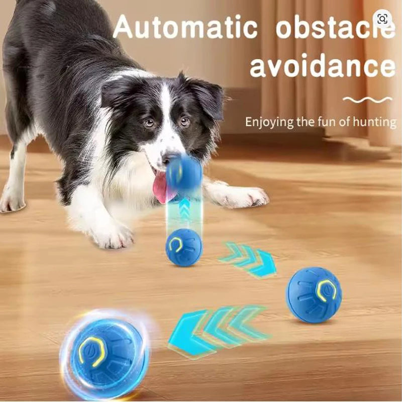 Crunchy Toy Jumper