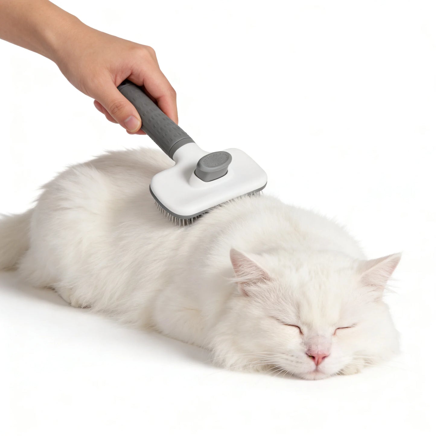 Pet Brush for Hair