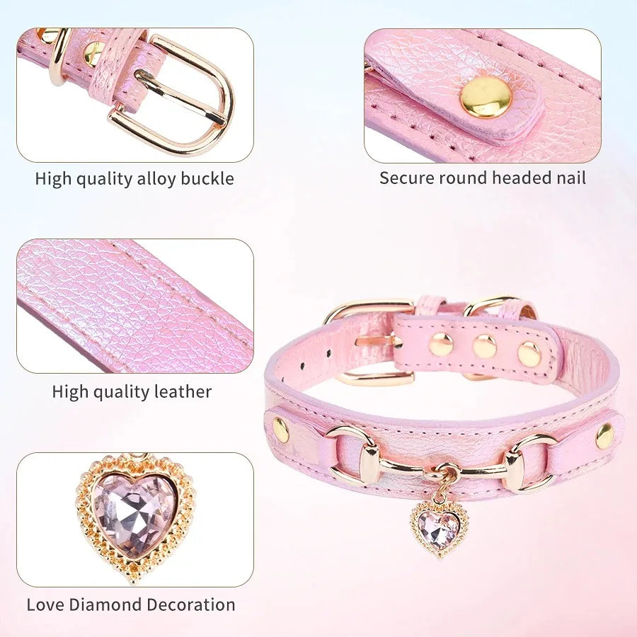 Pet Collar