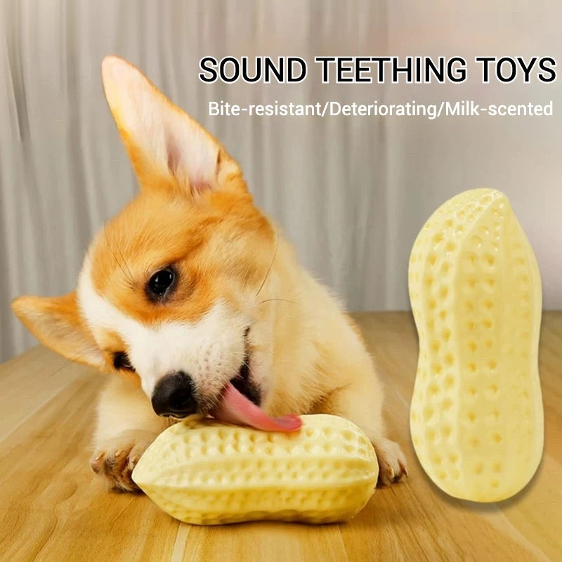 Crunch Toy Peanut