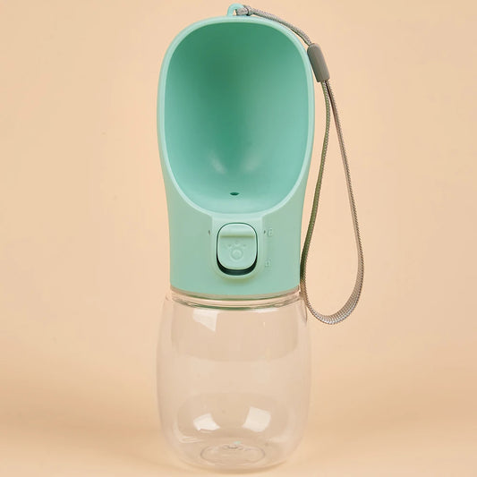 Water on the GO