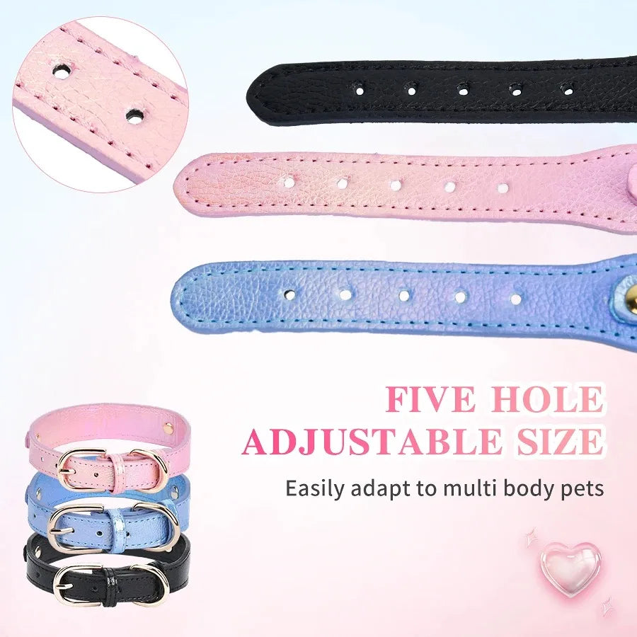 Pet Collar