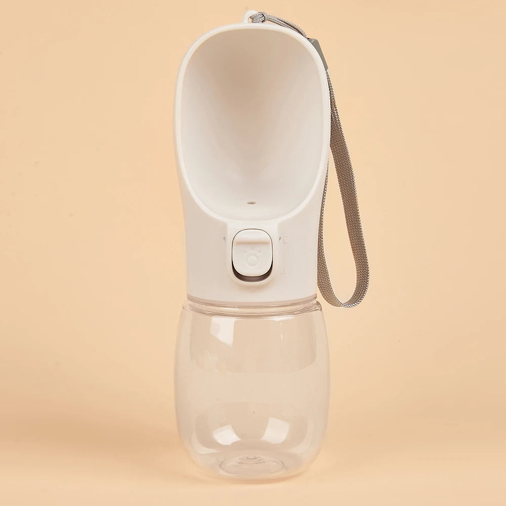 Water on the GO